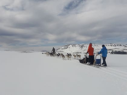 La mayor parte de los trineos son simples, pero hay algunos dobles.