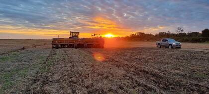 La mayoría de la superficie trabajada por la empresa es en campos alquilados