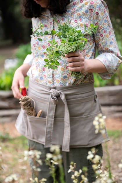 La mayoría de las hierbas aromáticas necesitan entre 6 y 8 horas de sol directo al día