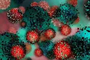 Por qué es difícil que el coronavirus pueda escapar de la inmunización