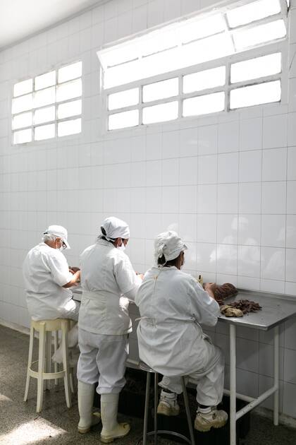 La mayoría de las que trabajan en el proceso de la anchoíta son mujeres.