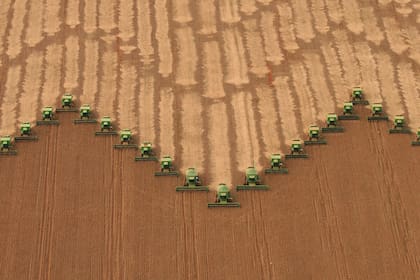 La mayoría de los estimadores privados considera que Brasil no logrará una cosecha récord