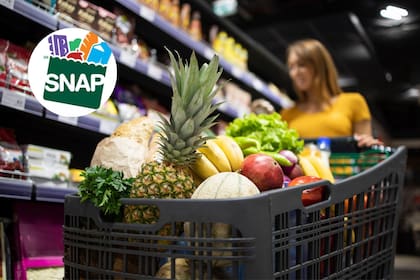 La mayoría de los inmigrantes con estatus legal, tras obtener su green card, deben cumplir un período de espera obligatorio de cinco años antes de ser elegibles para solicitar beneficios del programa SNAP