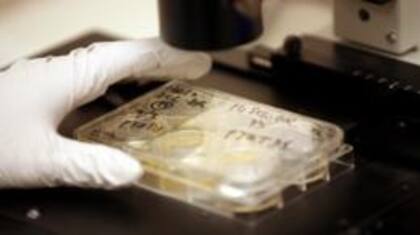 Las técnicas de fertilización favorecen la paternidad