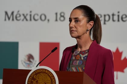 La mayoría del tribunal determinó que "no existen pruebas" de que México haya perjudicado deliberadamente la inversión o incumplido con el Nivel Mínimo de Trato