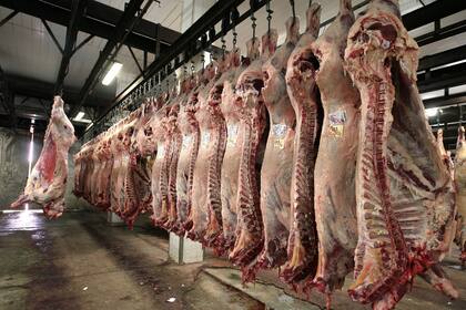 La media res subió hasta 7 pesos por kilo en la semana, según los carniceros, y trasladarán el incremento