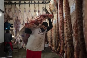 El Gobierno de Milei busca reflotar una discusión sobre el cambio del sistema de comercialización de la carne