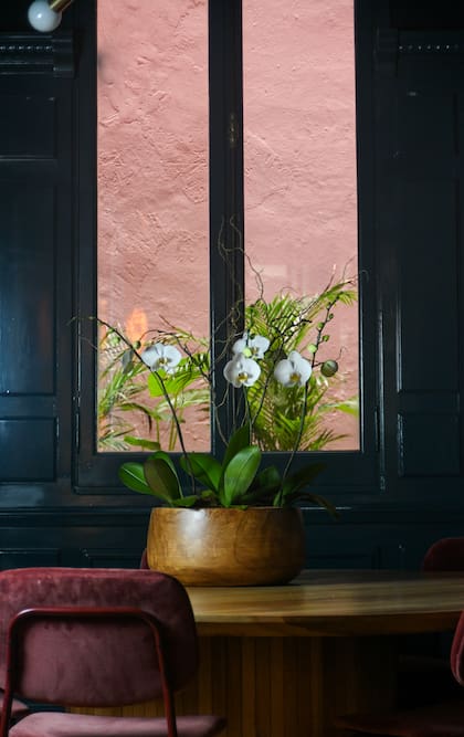 La medianera interna, en tono rosado, junto con los vidrios translúcidos y las plantas buscaron darle luz y aire a un ambiente que anteriormente era oscuro.