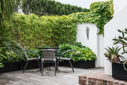 La medianera se incorpora al paisaje, acentuando el verde en un plano vertical