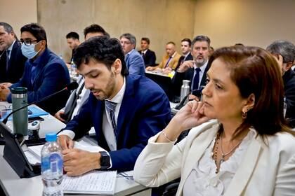 La médica Adriana Luisa Moralez, declaró ayer