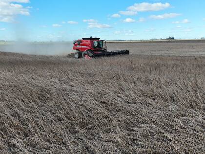 La medida busca “generar mayor oferta de dólares durante este período” para favorecer el ingreso de divisas y reforzar las reservas del Banco Central