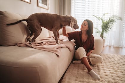 La medida busca prevenir el hacinamiento, los conflictos con vecinos y situaciones de negligencia