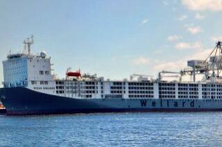 Ganado en pie, una nueva oportunidad y el gran mercado de Turquía