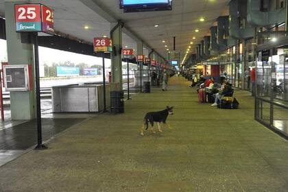 La medida que durante un día y medio afectó a las empresas Flecha Bus, Vía Bariloche, San José y TATA