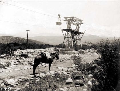 La Mejicana se llevó a cabo a lomo de mula, asno y, en muchos casos, a pie.