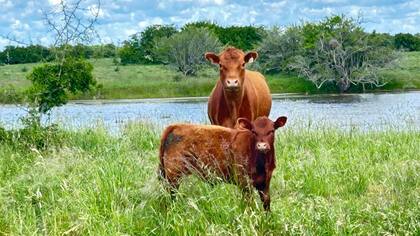 La mejor manera de afrontar una enfermedad es evitar que se produzca