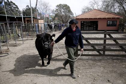 Se expone la mejor genética