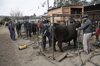 La previa a la competencia en la pista