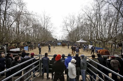 Fuerte interés de los productores en la muestra