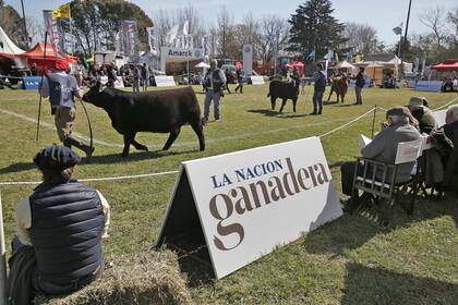 La muestra es un clásico para la región