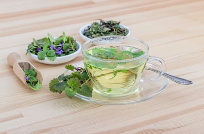 La melisa huele a limón y es ideal para combatir el insomnio, el estrés y la ansiedad