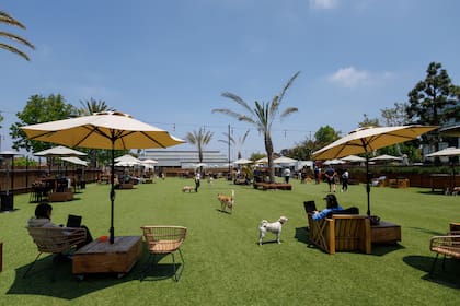 La membresía básica para un perro es de 120 dólares por mes y se pueden agregar dos perros adicionales por hogar a una tarifa con descuento