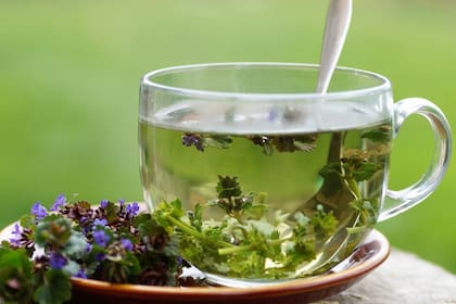 La menta, una hierba natural es que es bastante más que solo un refrescante bucal