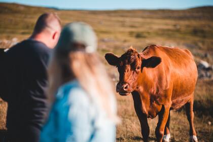 La Mesa Redonda Global para la Carne Vacuna Sostenible es una red
mundial de personas y organizaciones que lideran este cambio positivo para salvaguardar el mundo natural
