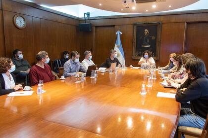 La ministra Carla Vizzotti, en un reunión con expertos