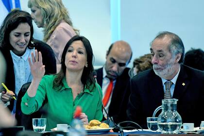 La ministra de Desarrollo Social, Carolina Stanley, anunció en Diputados que el financiamiento del proyecto se debatirá con el Presupuesto 2019; logró el apoyo de la oposición