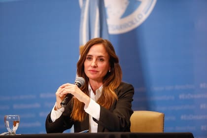La ministra de Desarrollo Social, Victoria Tolosa Paz