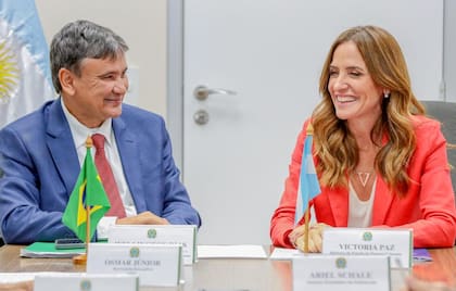 La ministra de Desarrollo Social Victoria Tolosa Paz a su par de Desarrollo y Asistencia Social, Familia y Combate al Hambre Wellington Dias