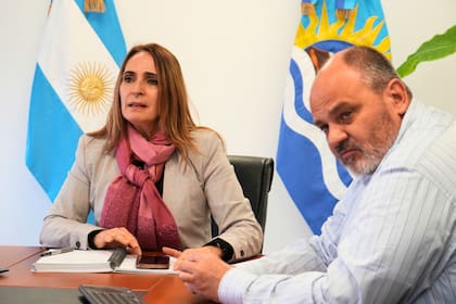 La ministra de Producción, Nadia Ricci, y secretario de Comercio, Pablo Lunzevich, durante un reunión virtual con sus pares patagónicos