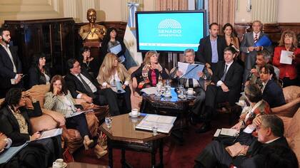 La ministra de Seguridad en el Senado