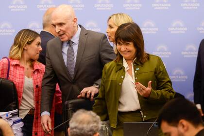 La ministra de Seguridad, Patricia Bullrich, estuvo hoy en la comisión de presupuesto