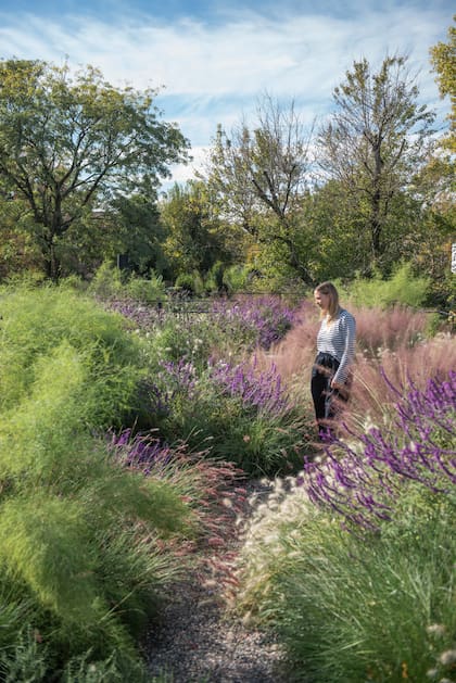La mirada profesional no busca imponer un estilo, sino interpretar el lugar (Paisajismo de Agustina Anguita)