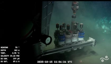 La misión anterior del Schmidt Ocean Institute cautivó a millones de personas y reveló más de 40 especies nuevas en el mar Argentino