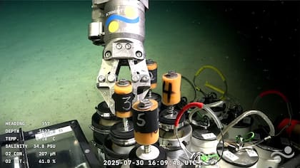 La misión es una colaboración entre el Conicet y la fundación internacional Schmidt Ocean