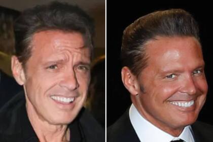 La misma oreja demostraría que el que llegó a la Argentina es el mismo Luis Miguel de siempre, el verdadero, y no un doble