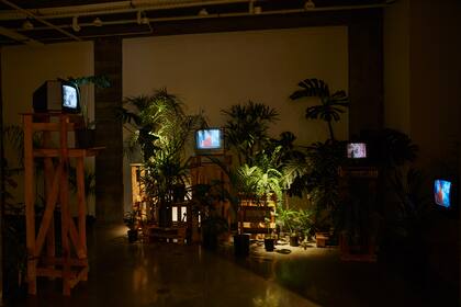 La mitología paradisíaca, narrada por un coro de loros en la obra de Vega