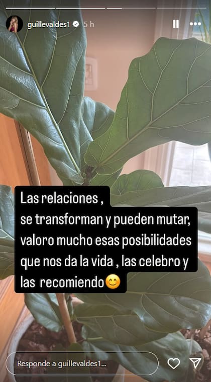 La modelo aseguró que no hay una relación romántica entre ellos actualmente (Captura: Instagram @guillevaldes1)