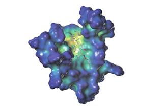 Qué daños provoca el plaguicida que se esparció en Ituzaingó y cuánto tiempo dura