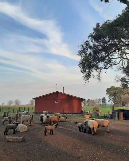 La Monedita, campo que el empresario alquilaba a quienes quisieran pasar unos días lejos de la ciudad. Foto: Instagram