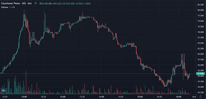 La "montaña ruda" de la caución a 1 día