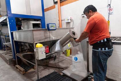 La Morocha, una vieja fábrica sigue produciendo barras de hielo en el corazón de Floresta