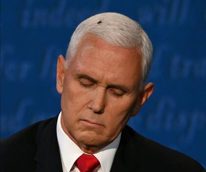 La mosca que se posó sobre la cabeza de Mike Pence en 2020