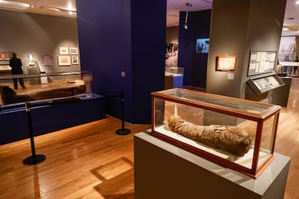 La muestra "Ciencia y fantasía" es una de las más vistas del Museo Nacional de Bellas Artes