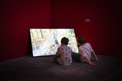 La muestra en el Pabellón 8