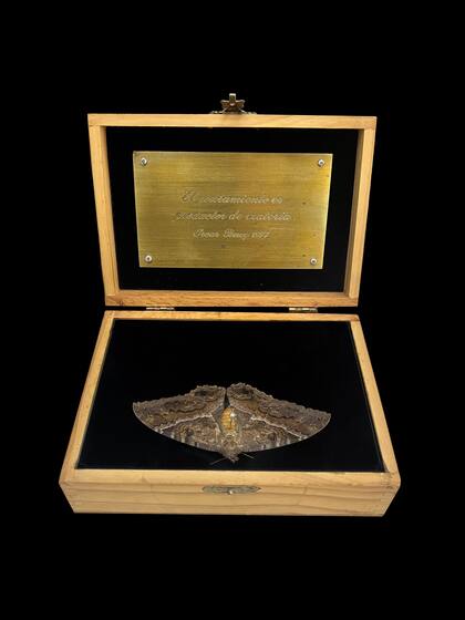 La muestra incluye una mariposa guardada en una caja, junto a una placa grabada con la cita que da título a la muestra: “El pensamiento es productor de materia” (1997)