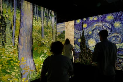 La muestra inmersiva incluye proyecciones de las obras de Vincent